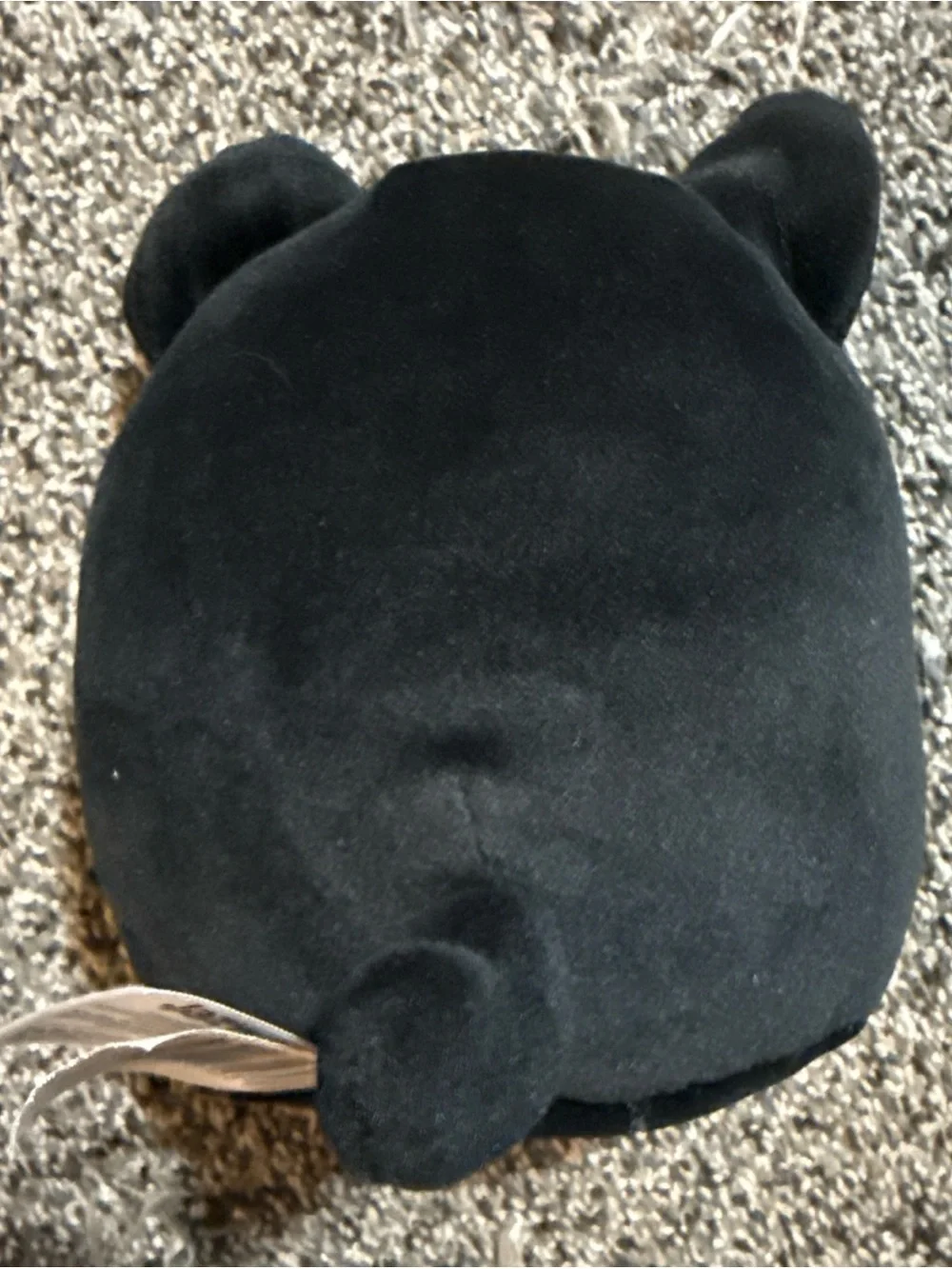 Squishmallows Monty The Black And White Border Collie 5